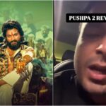 Pushpa 2 brutal review